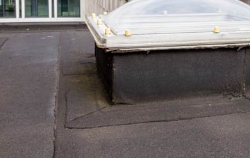disadvantages of Holbrook Common flat roofs