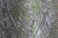 Holbrook Common fibreglass roof work